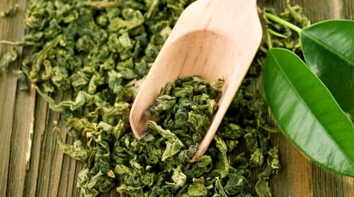 Green Tea extract supports metabolism and glucose balance in Gluco6